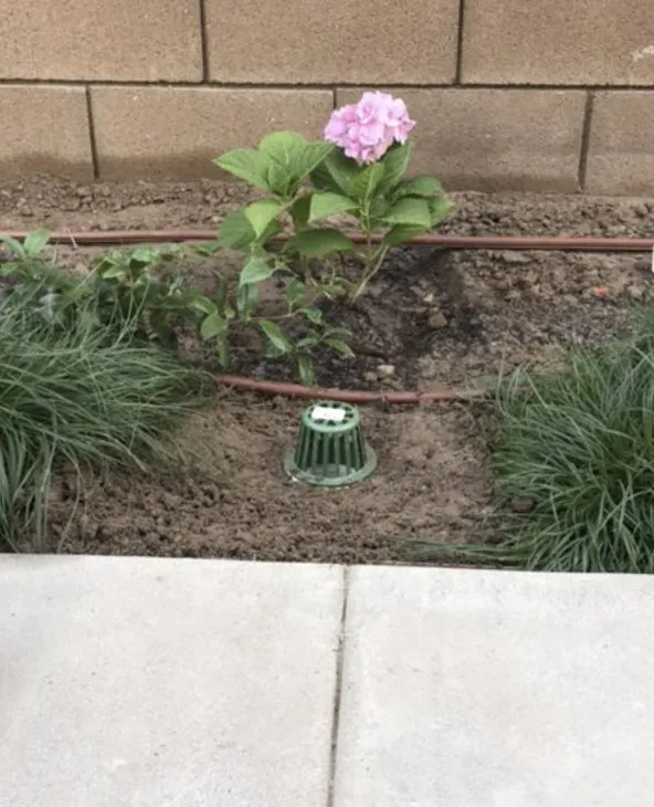 Custom landscape installation for year-round maintenance in Santa Ana, CA by iWater SoCal