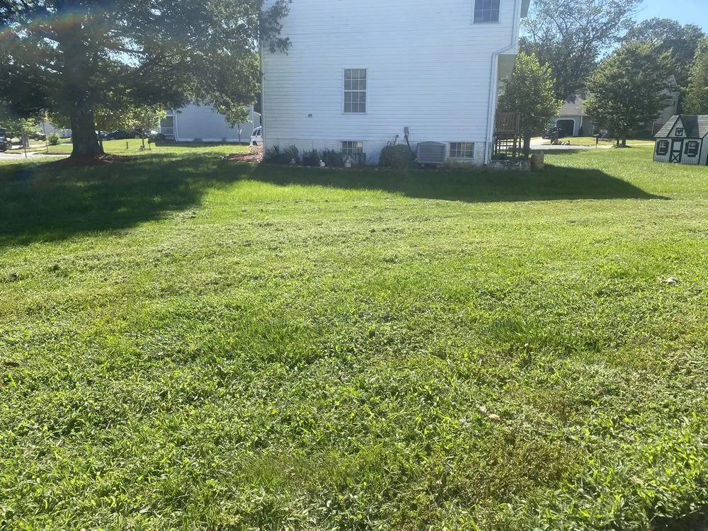 Professional yard cleanup service with custom design across Waldorf, MD - Ixcot Landscaping Services