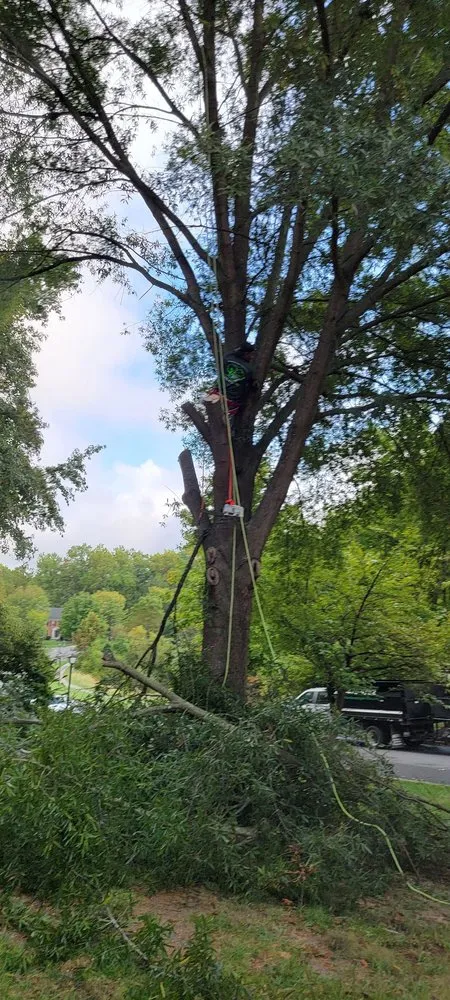 Local lawn care service for homes across Waldorf, MD - Ixcot Landscaping Services