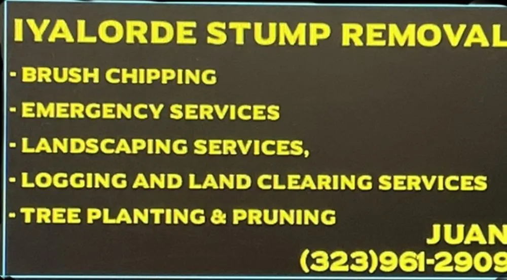 Trusted landscape design experts serving Lynwood, CA - Iyalorde Stump Removal