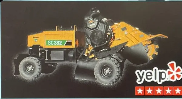 Iyalorde Stump Removal