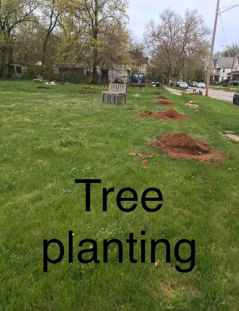 Custom lawn mowing service near you across Bedford, OH - IYI Network