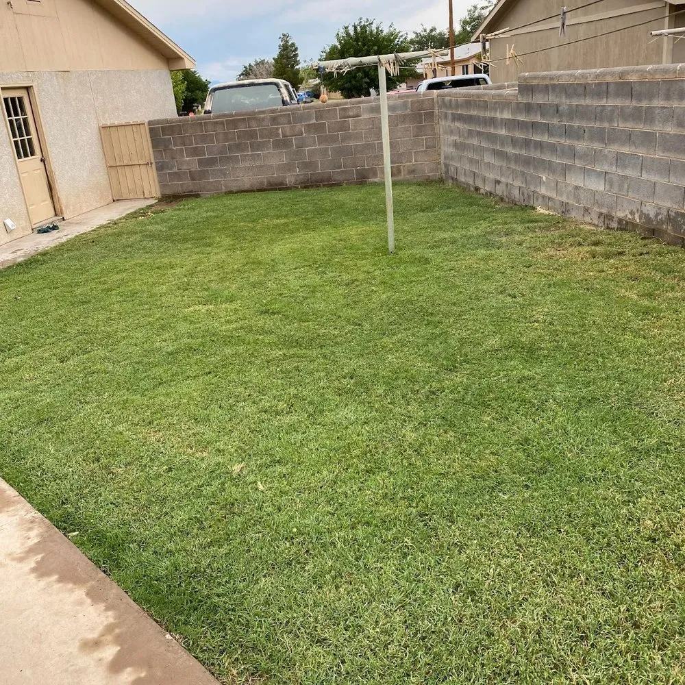 Custom landscaping services experts serving Alamogordo, NM - IZ Fix