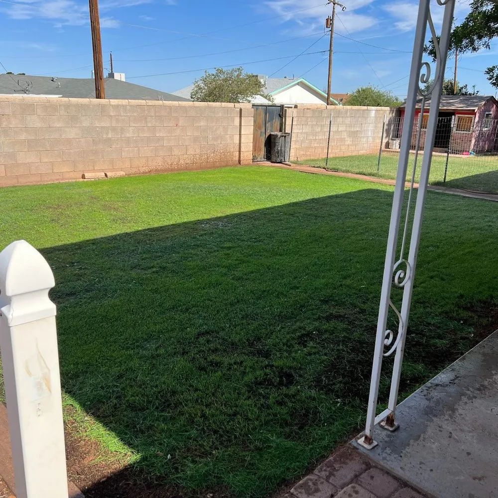 Affordable lawn mowing service for homes in Alamogordo, NM by IZ Fix