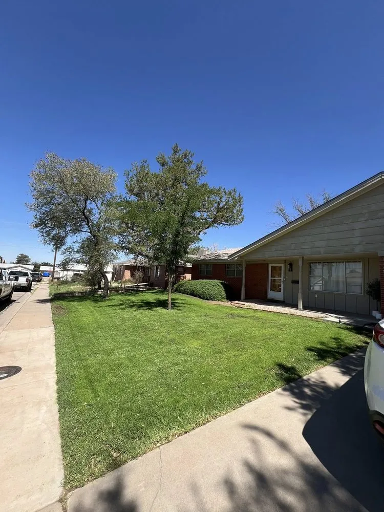 Professional yard maintenance experts serving Alamogordo, NM - IZ Fix