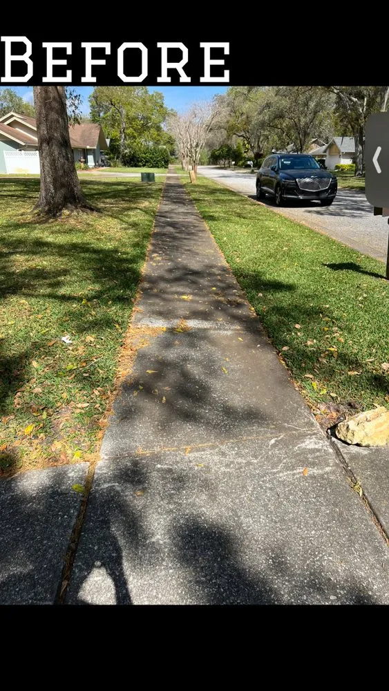 Affordable landscaping services in Hudson, FL by Izak’s Rising Sun Services