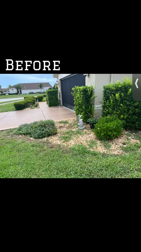 Affordable yard cleanup service in Hudson, FL - Izak’s Rising Sun Services