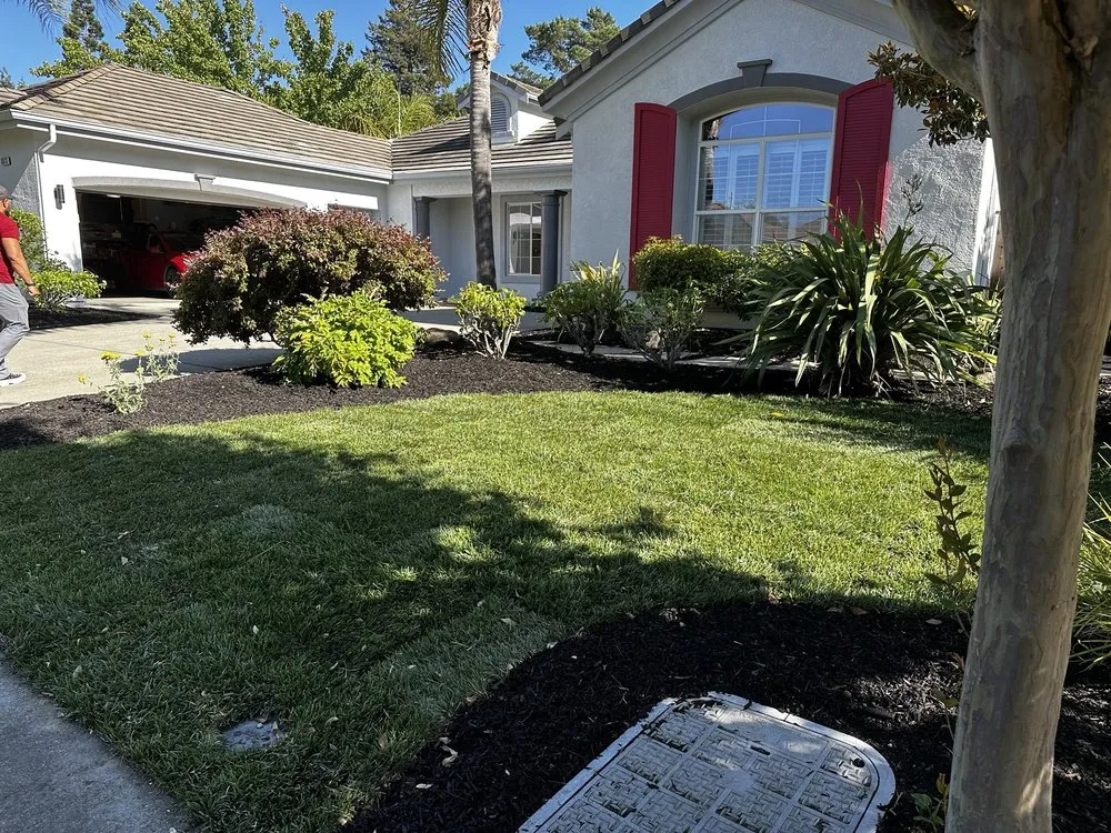 Professional landscaping services near you in Dublin, CA by Izazaga Landscape