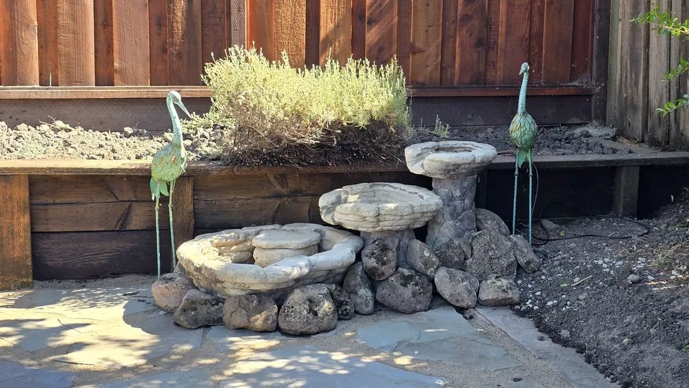 Reliable lawn mowing service for outdoor upgrades in Dublin, CA by Izazaga Landscape