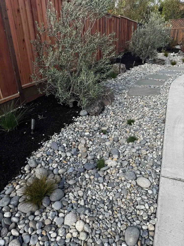 Trusted lawn mowing service in Dublin, CA - Izazaga Landscape