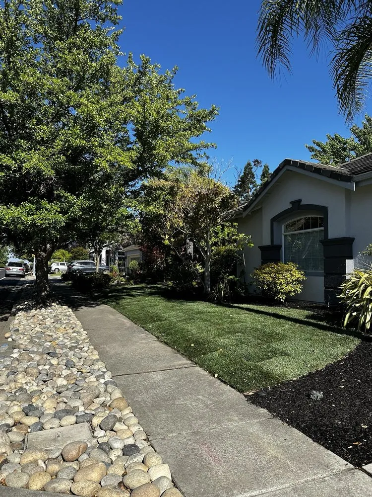 Reliable lawn mowing service in Dublin, CA by Izazaga Landscape