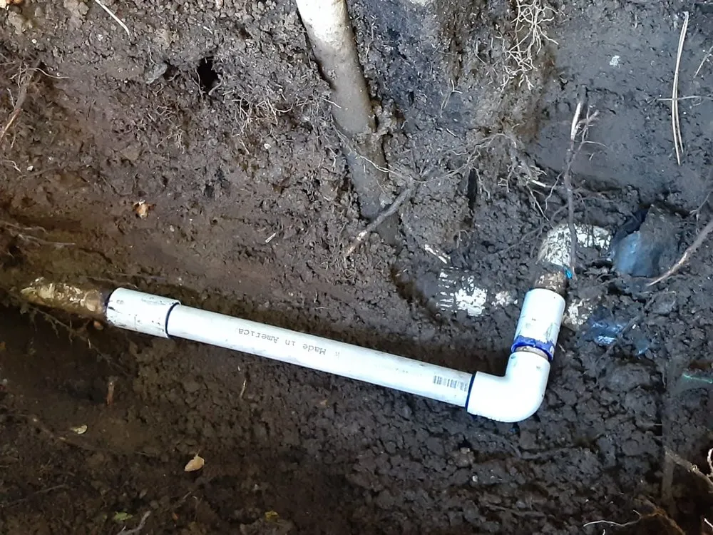 Trusted landscaping services in Half Moon Bay, CA - Izote landscaping