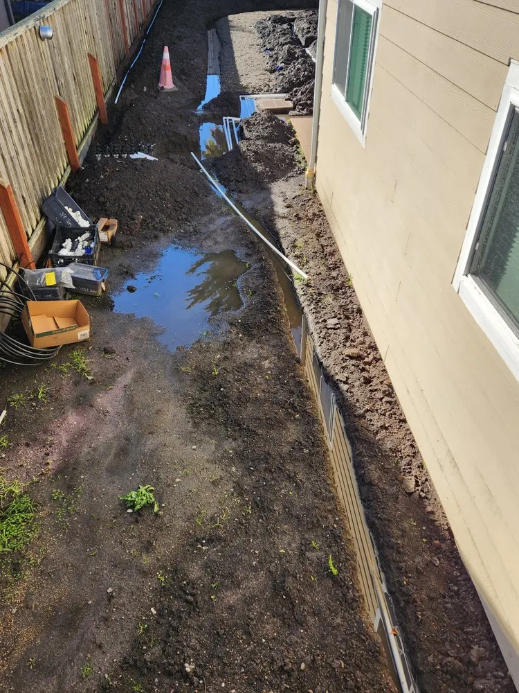 Top-rated lawn care service experts serving Half Moon Bay, CA - Izote landscaping