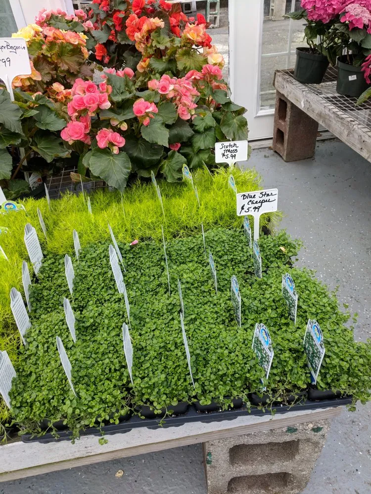 Professional landscape design with custom design in Westport, CT by Izzo & Son Country Gardens