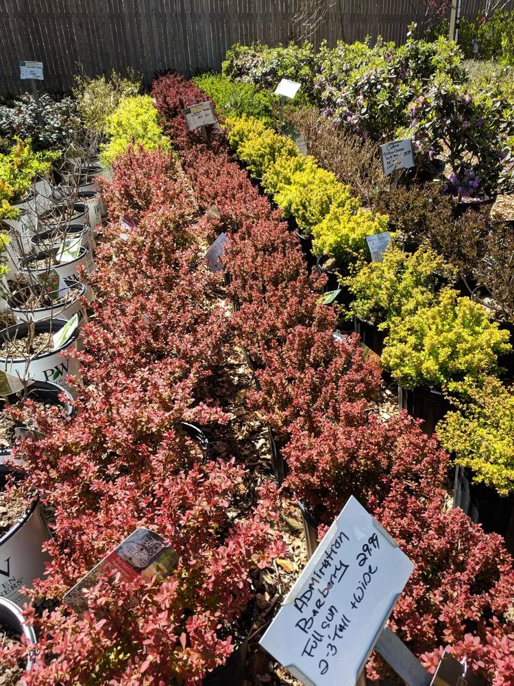 Professional yard maintenance in Westport, CT - Izzo & Son Country Gardens