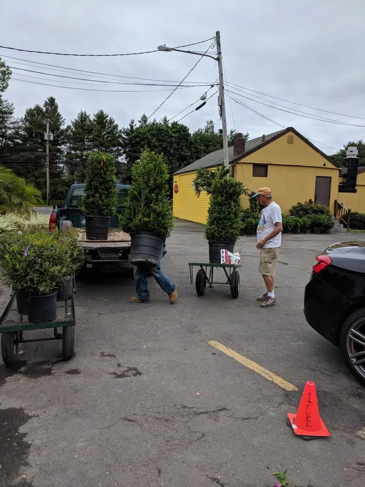 Expert lawn mowing service for residential properties across Westport, CT - Izzo & Son Country Gardens