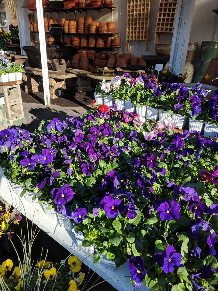 Trusted outdoor landscaping in Westport, CT by Izzo & Son Country Gardens