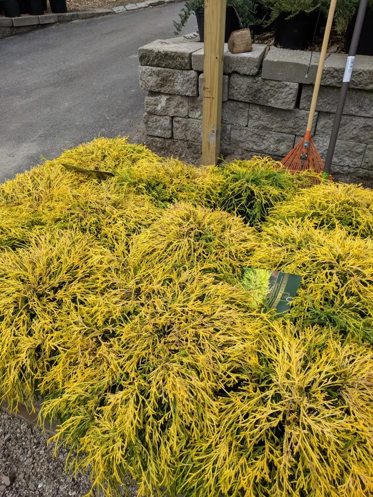 Custom yard maintenance in Westport, CT by Izzo & Son Country Gardens