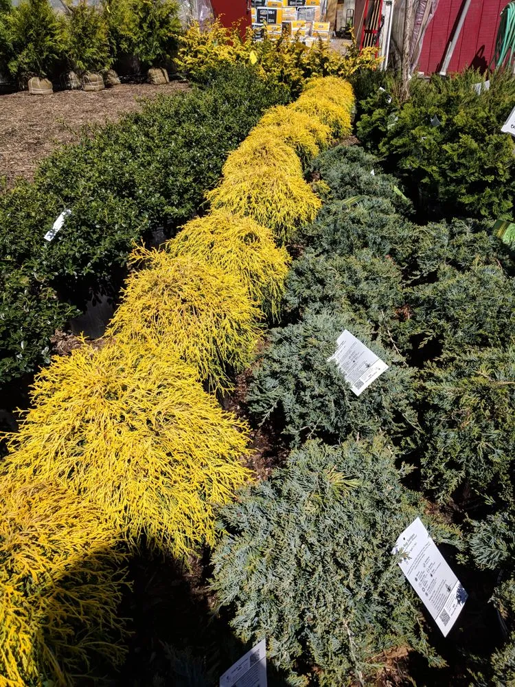 Custom landscape design near you in Westport, CT by Izzo & Son Country Gardens