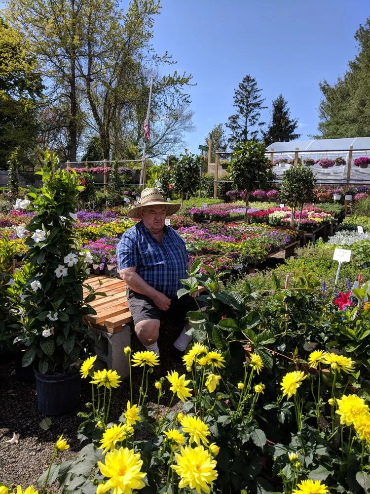 Affordable landscape installation for year-round maintenance in Westport, CT by Izzo & Son Country Gardens