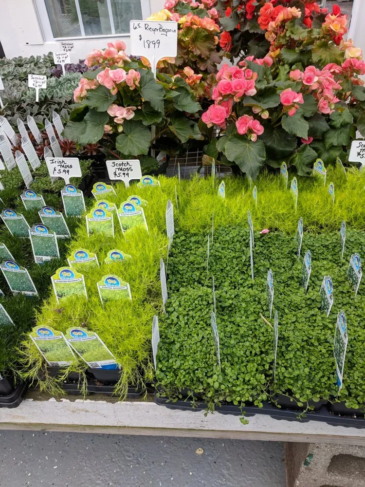 Professional lawn care service in Westport, CT by Izzo & Son Country Gardens