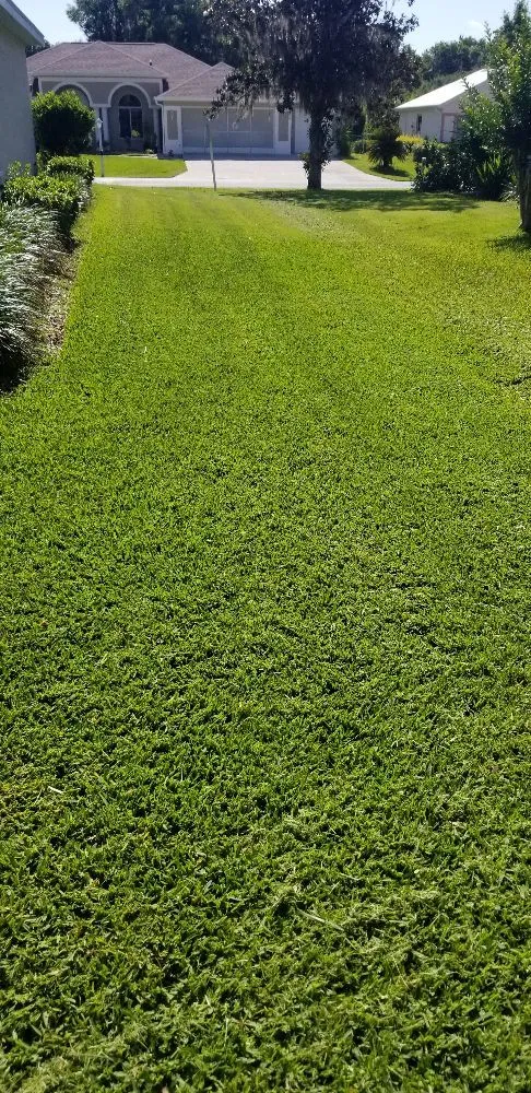 Affordable landscaping services for beautiful yards in Marion, FL by Izzy's Lawn Care Services