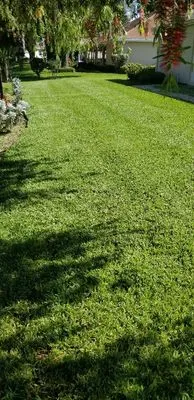 Izzy's Lawn Care Services