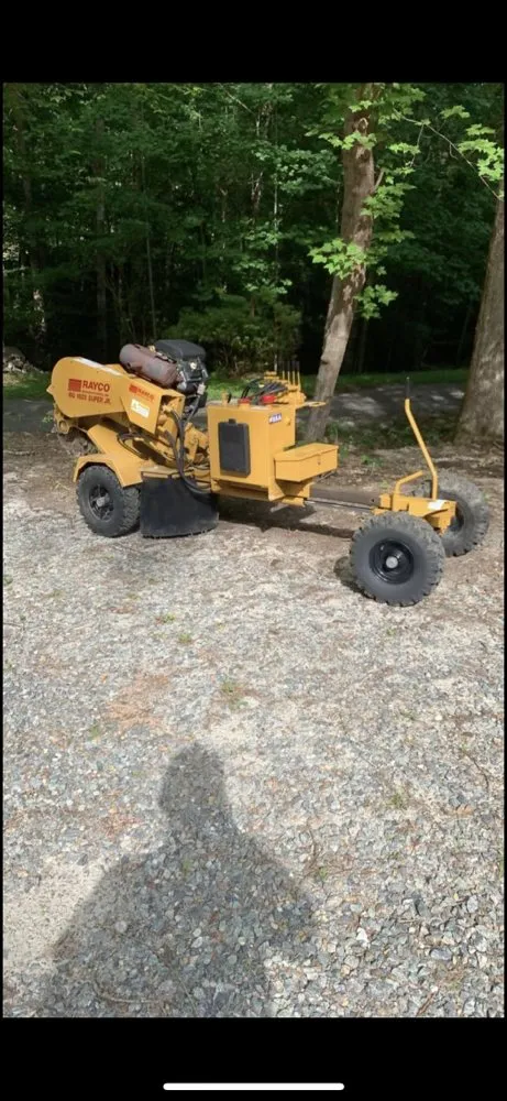 Expert yard cleanup service in Gloucester, VA by Izzy’s Stump Removal