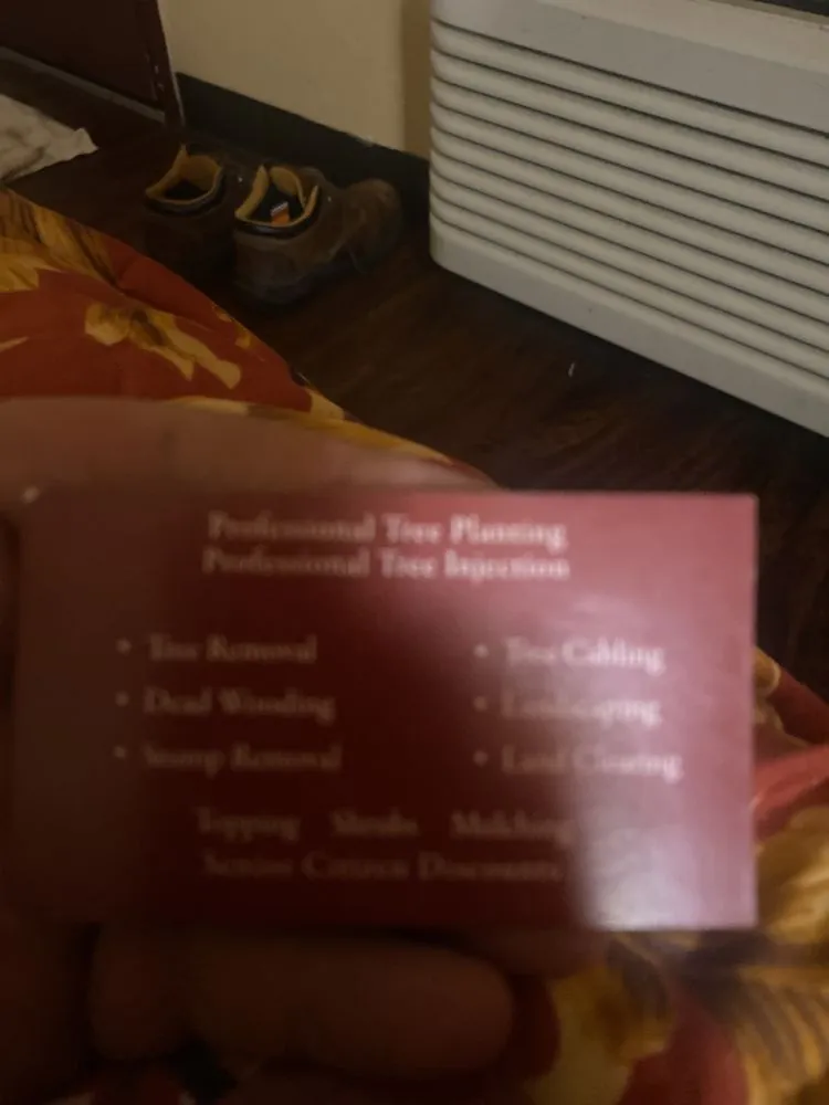 Local landscaping services in Springfield, OH - J & A Arbor Express