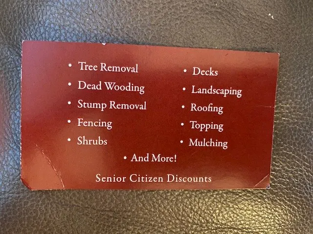 Top-rated yard cleanup service experts serving Springfield, OH - J & A Arbor Express