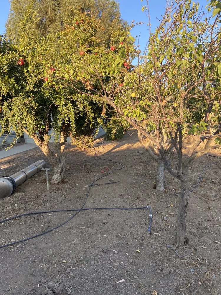 Professional garden landscaping in Morgan Hill, CA - J & A Contractors