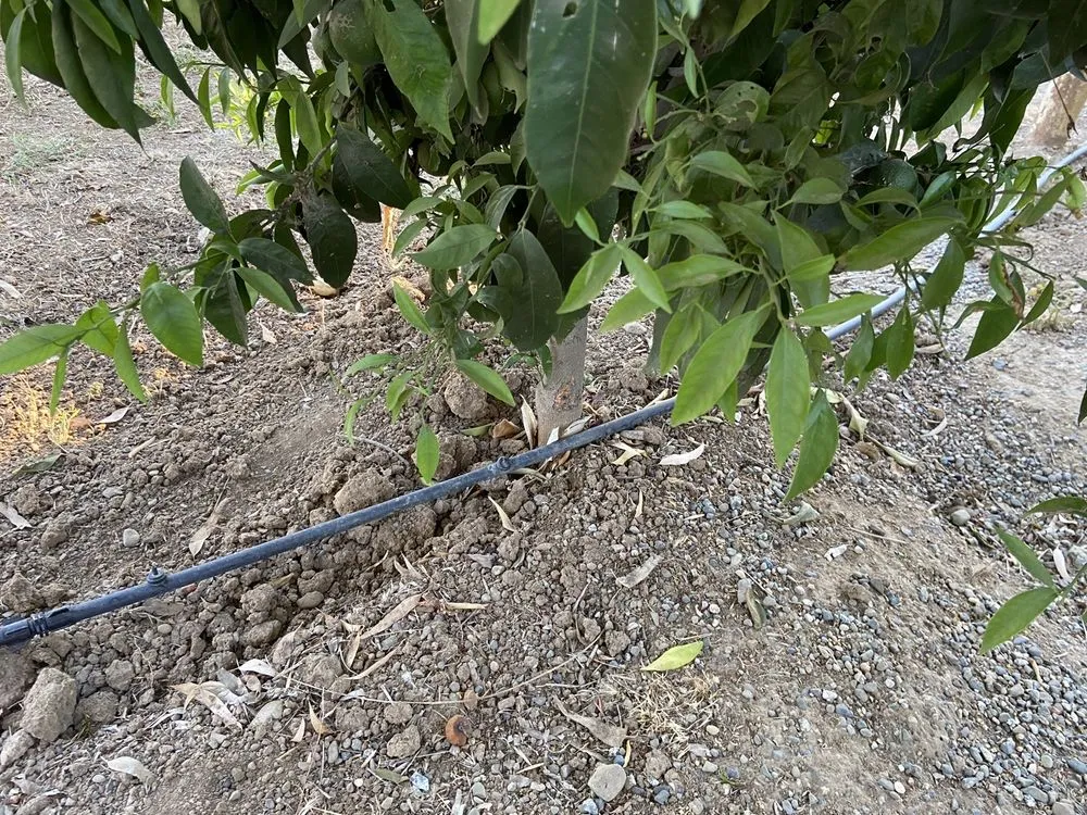 Expert outdoor landscaping near you across Morgan Hill, CA - J & A Contractors