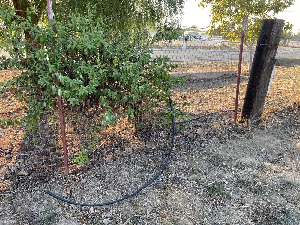 Trusted lawn mowing service with custom design in Morgan Hill, CA by J & A Contractors