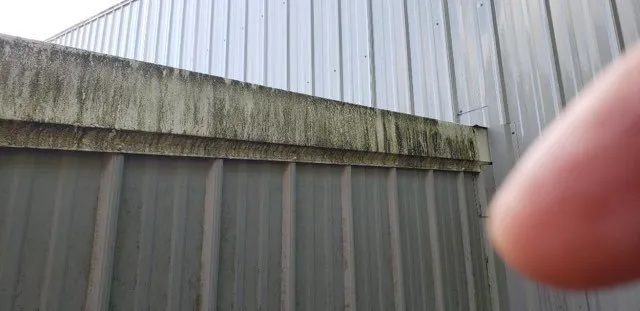 Local yard cleanup service in Puyallup, WA - J & A Interior & Exterior Pros