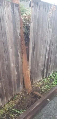 Local landscape design in Puyallup, WA - J & A Interior & Exterior Pros