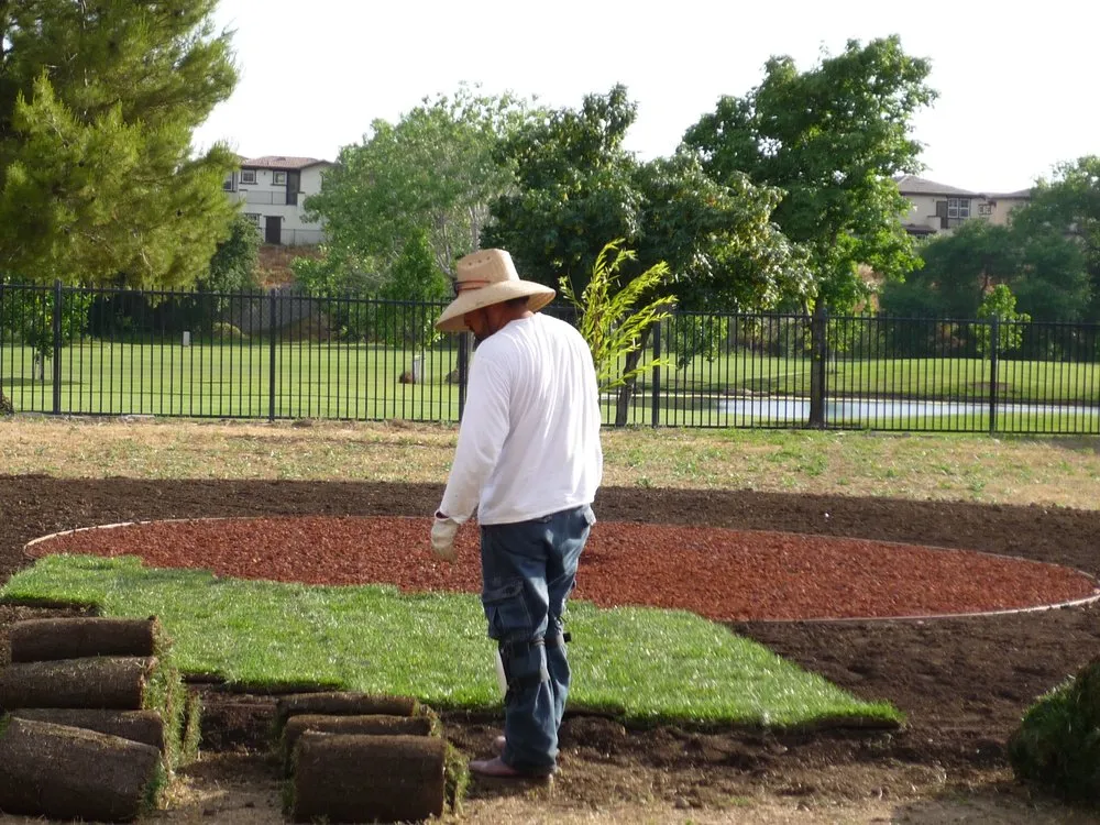 Trusted landscaping services for residential properties across Vacaville, CA - J & A Landscape