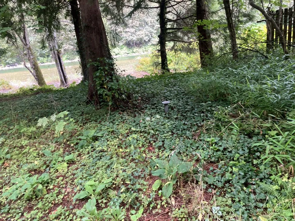 Affordable landscape design experts serving Monroe, WA - J & A Landscaping