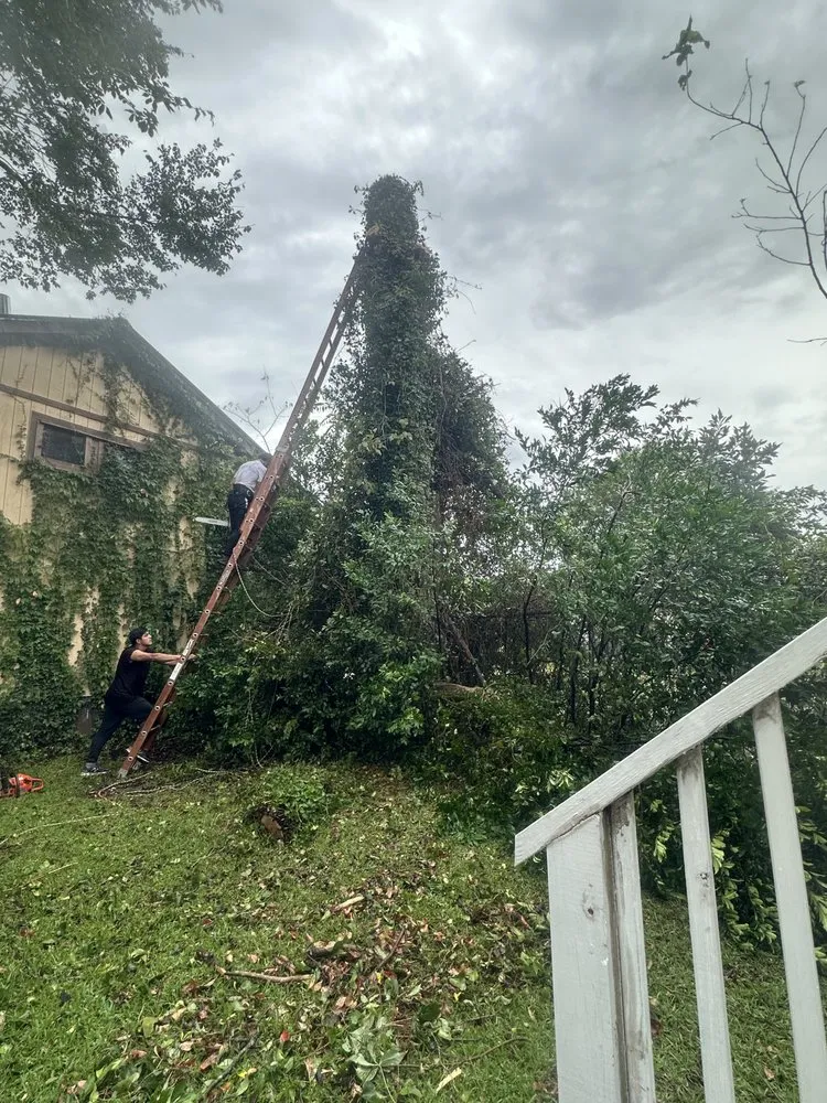 Professional lawn mowing service for residential properties in Supply, NC by J & A Lawn Care & Tree Removal