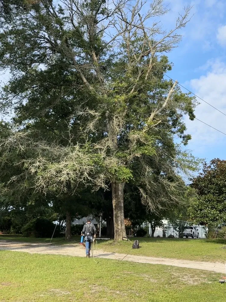 Affordable outdoor landscaping in Supply, NC - J & A Lawn Care & Tree Removal