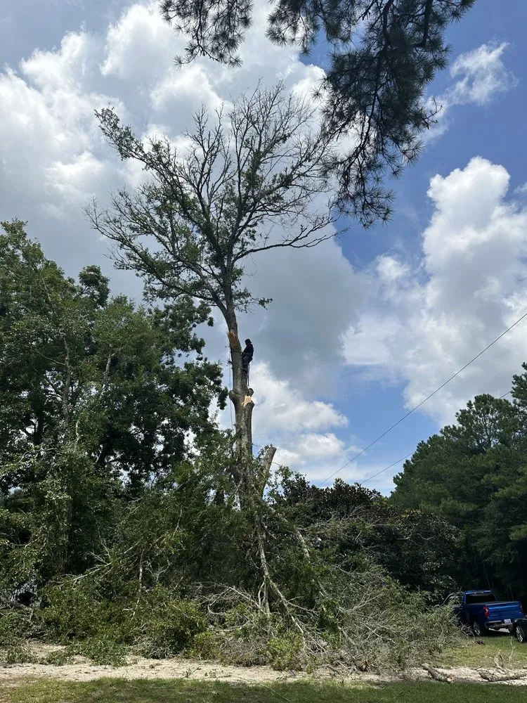 Top-rated yard maintenance with custom design in Supply, NC by J & A Lawn Care & Tree Removal