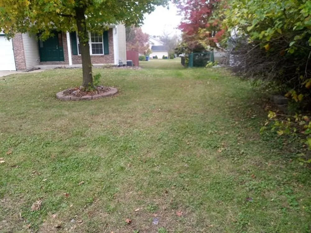 Trusted yard maintenance in Festus, MO - J & A Lawn Care