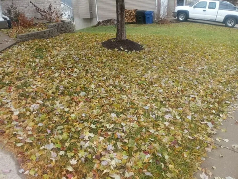 Top-rated landscaping services for year-round maintenance in Festus, MO by J & A Lawn Care