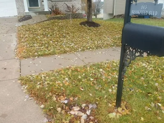 J & A Lawn Care Logo