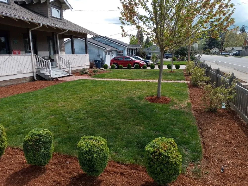 Professional yard maintenance experts serving Creswell, OR - J & A Lawn