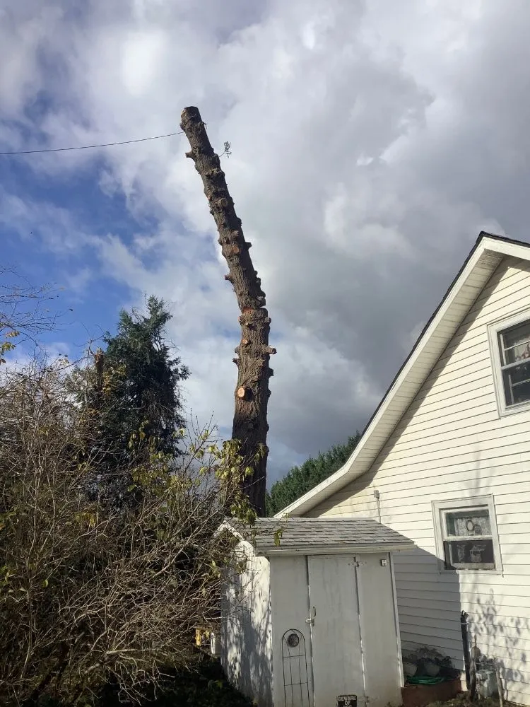 Local landscape installation in Creswell, OR by J & A Lawn