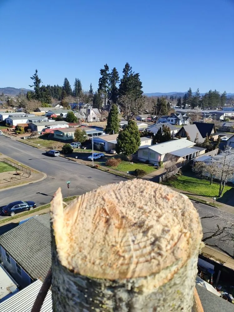 Trusted landscape installation in Creswell, OR by J & A Lawn