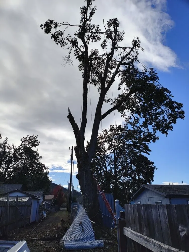 Local lawn mowing service in Creswell, OR - J & A Lawn