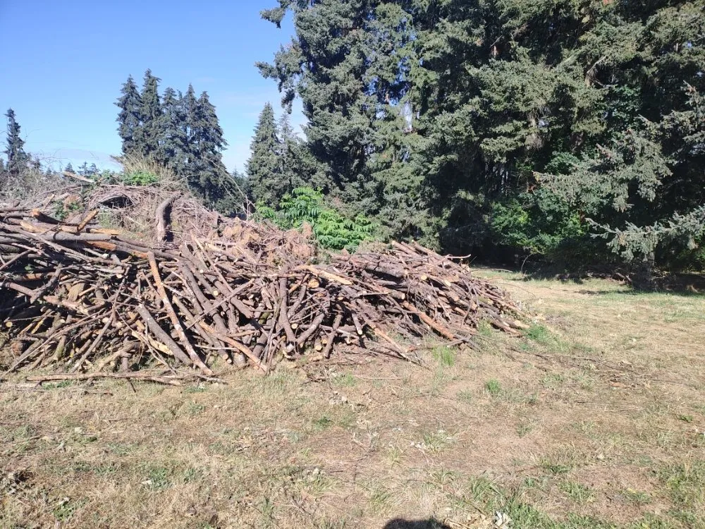 Local residential landscaping near you in Creswell, OR by J & A Lawn