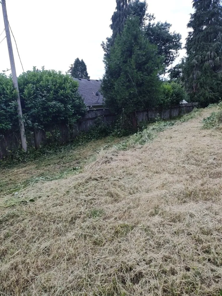 Professional landscape installation for outdoor upgrades across Creswell, OR - J & A Lawn