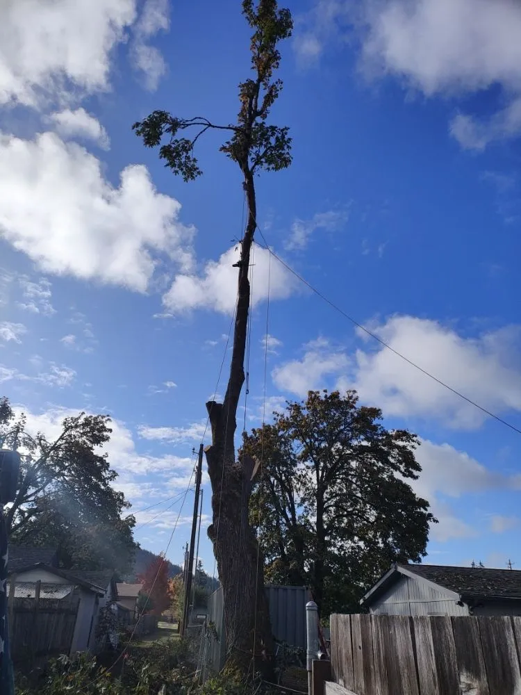 Top-rated garden landscaping in Creswell, OR by J & A Lawn